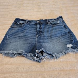 Women Size 12 Loft Brand Shorts